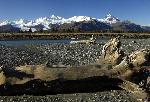 Mt Steller, Kukak Volcano, and Devils Desk