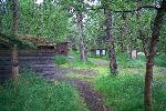 An overview of the Brooks Camp Campground