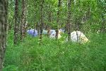 A mass of tents in the campground grass