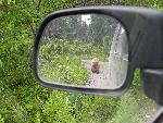 Close Encounter