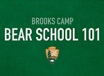 Bear School 101 on green background