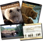 Cover pages of ebooks