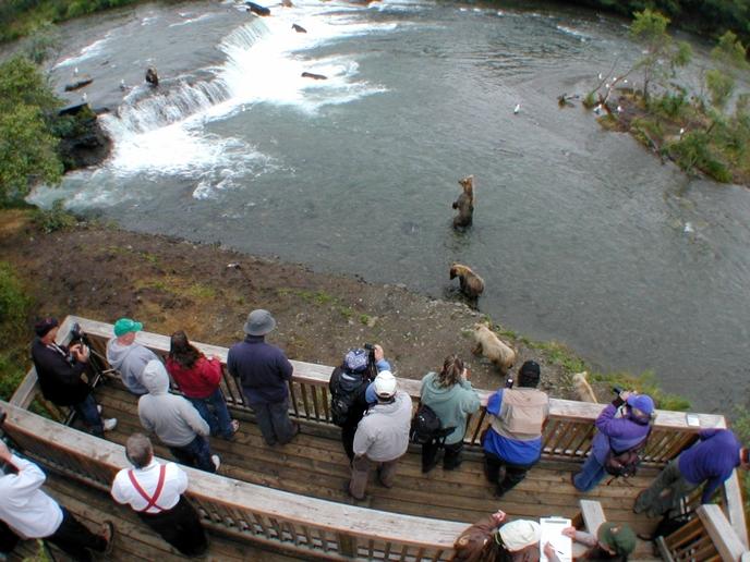 things brooks falls bear viewing things brooks falls bear viewing