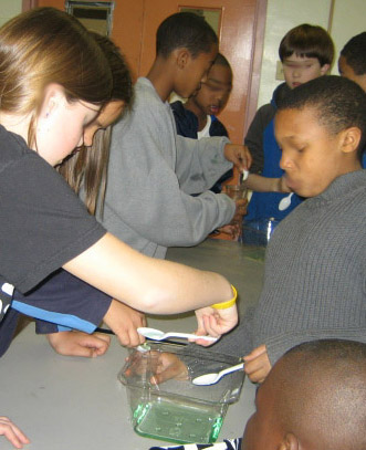 learning about watersheds