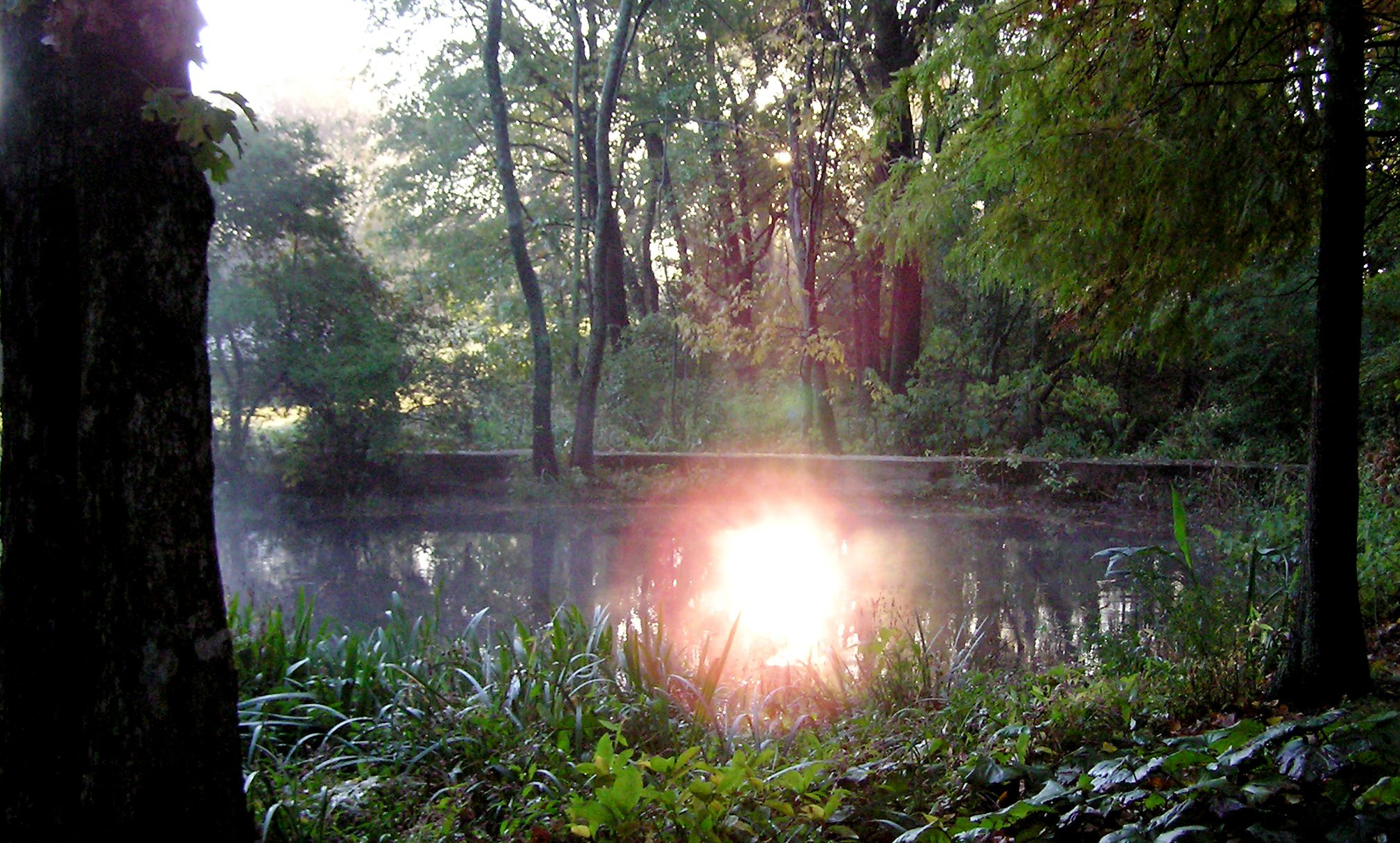 An early morning sun reflected in the water.
