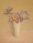 blue tropical waterlilies in vase