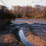 beaver ditch