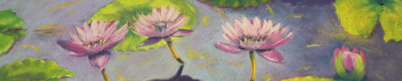 Pastel of Water Lilies