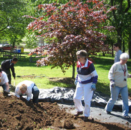 Volunteers work together or alone as they wish.