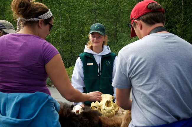 A youth employee stands behind a table with a bear skull as visitor ask questions.
