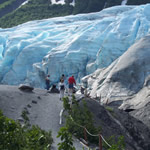Visitors on Exit Glacier's overlook loop trail