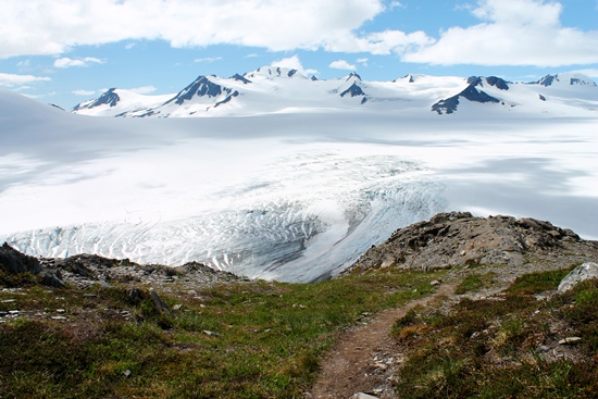 The Harding Icefield in July.