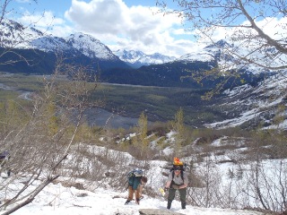 Invasive Plants Management Team (IMPT) on the Harding Icefield Trail.