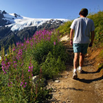 Hiker on the Harding Icefield Trail