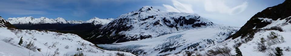 Panorama of Exit Glacier with snow-covered mountains in the background.