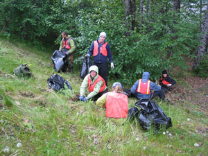 Volunteers pulling weeds along road to Exit Glacier
