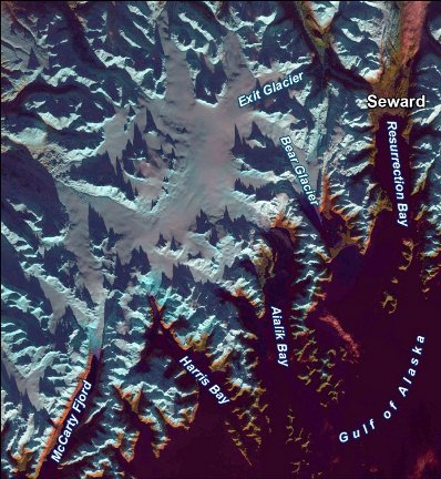 Satellite image of the northern section of Kenai Fjords National Park.