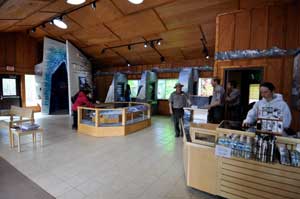 2012 Exit Glacier Nature Center exhibits