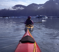Kayakers in Bear Glacier Lagoon