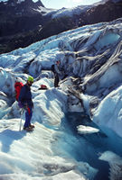 Climbers on Exit Glacier