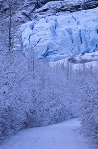 Winter at Exit Glacier