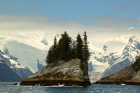 Small rocky outcrops topped by spruce trees along Kenai Fjords rugged coast