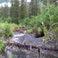 backcountry stream
