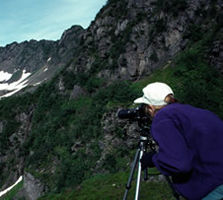 Photographer capturing a view of the fjords