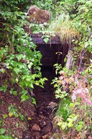 Abandoned mine shaft.