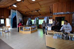 Exit Glacier Nature Center