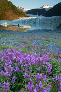 Pedersen Lagoon in Kenai Fjords National Park