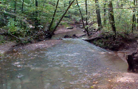 Noses Creek at Burnt Hickory. Noses Creek at Burnt Hickory.