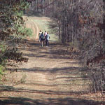 Some of the trails we offer Some of the trails we offer