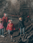 Four people, including two males and two females, inside a mine wearing hard hats with lights looking.  The girl in front is pointing to something on the wall to the right of the photo and the others are looking in that direction.