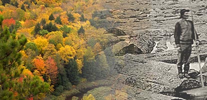 Natural processes, changing environments, and human activities have all shaped the Keweenaw Peninsula’s forests.