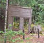 False Front from Historic Dyea