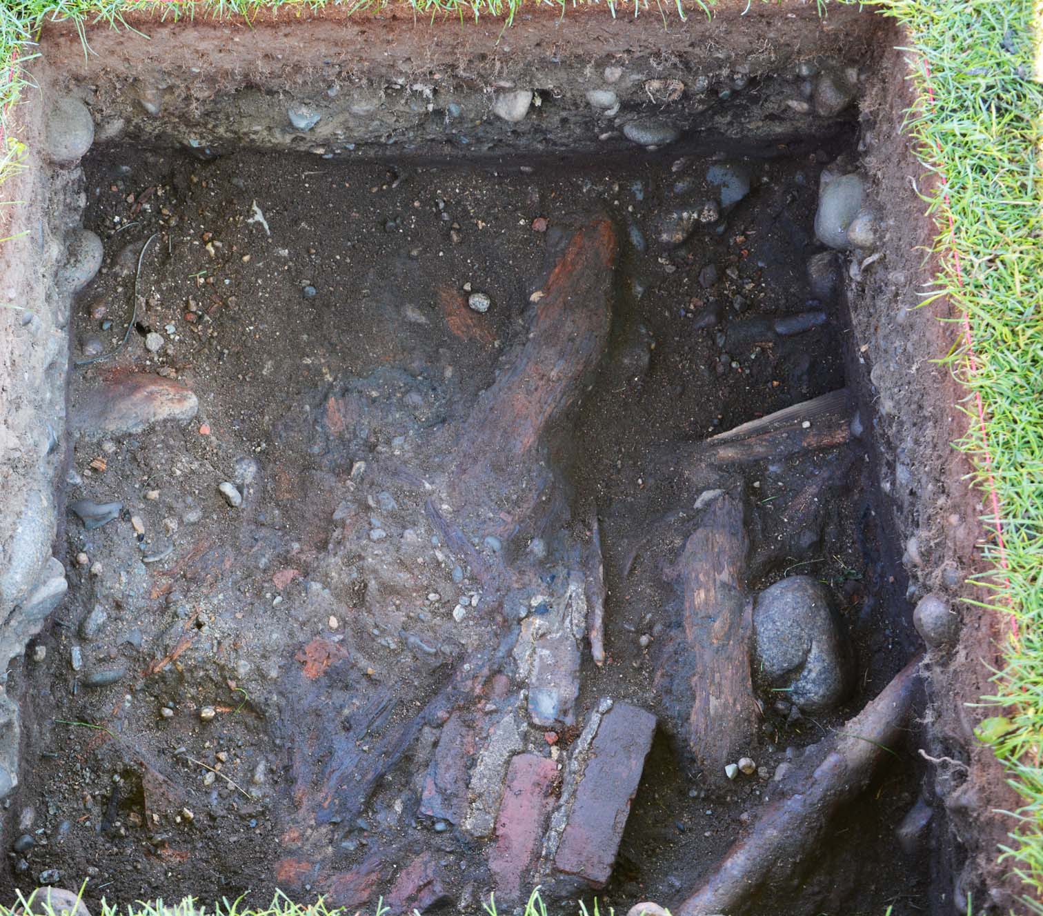 archeaology archeaology