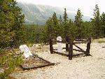 gold rush era graves lie in forest setting