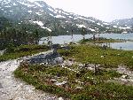 metal frame of small boat lies near trail