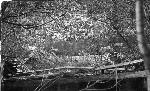 black and white photo of ruins