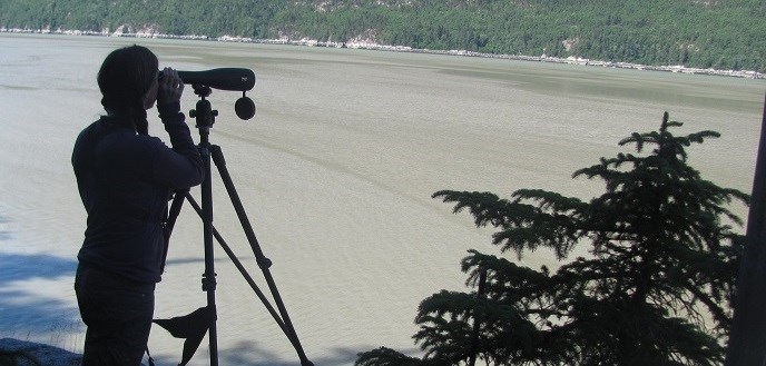A person uses a spotting scope near water.