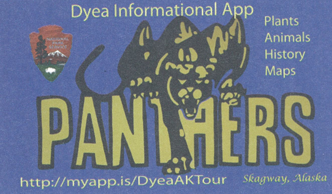 Informational card for the Dyea app