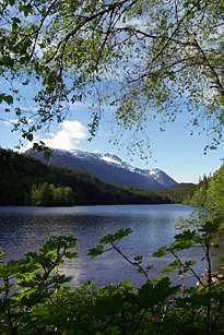 Lower Dewey Lake