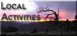 Local Activities
