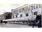 Large tree on railroad car