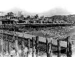 Building steamers in Seattle for Yukon River use.