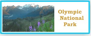 olympic national park