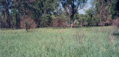 2002 boicontrol site.