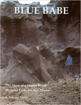 Blue Babe - The Story of a Steppe Bison Mummy from Ice Age Alaska