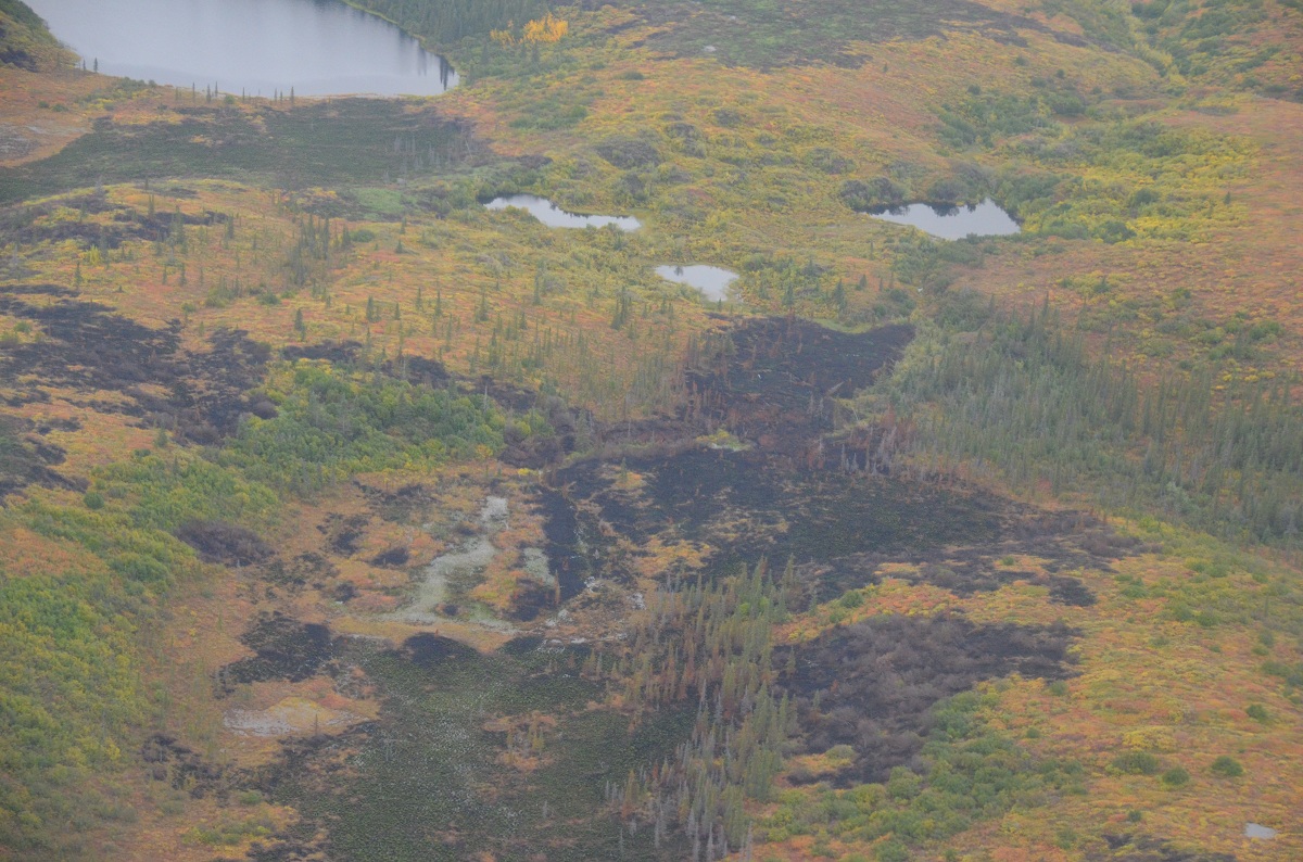 Recent burn in Noatak National Preserve